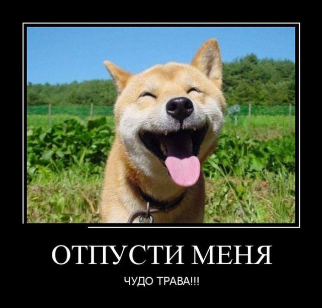 Россия атакует Украину на море! Видео.
