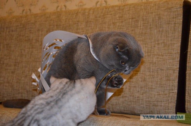Новогодние подарки для друзей.
