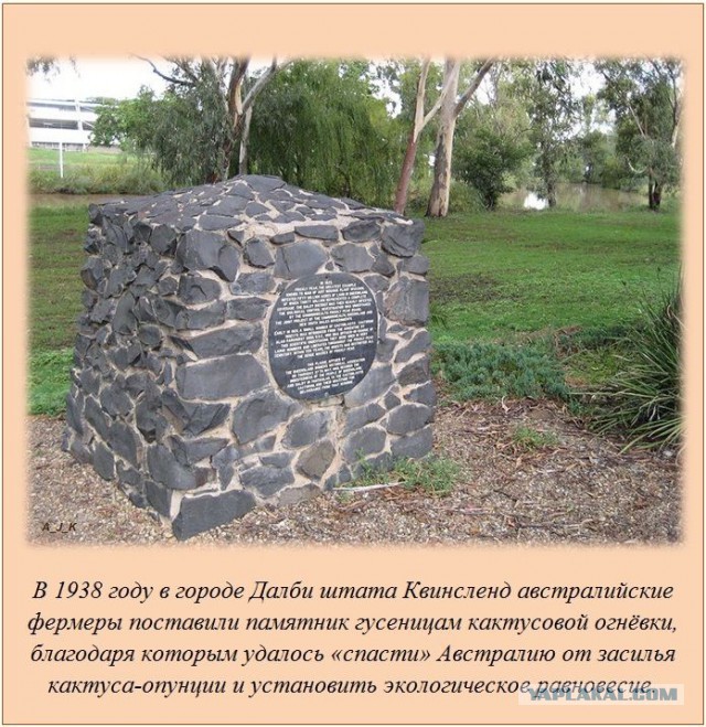 20 фактов обо всем