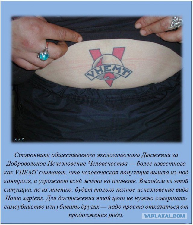 20 фактов обо всем