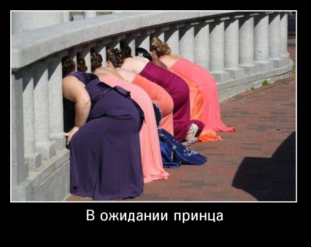 Веселое из сети