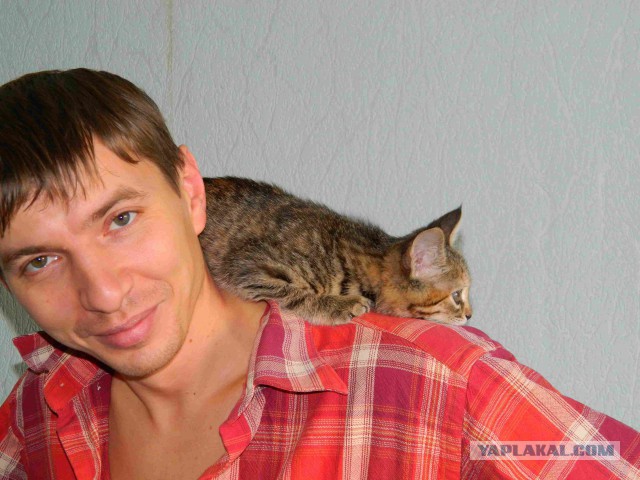Жизнь как она есть...