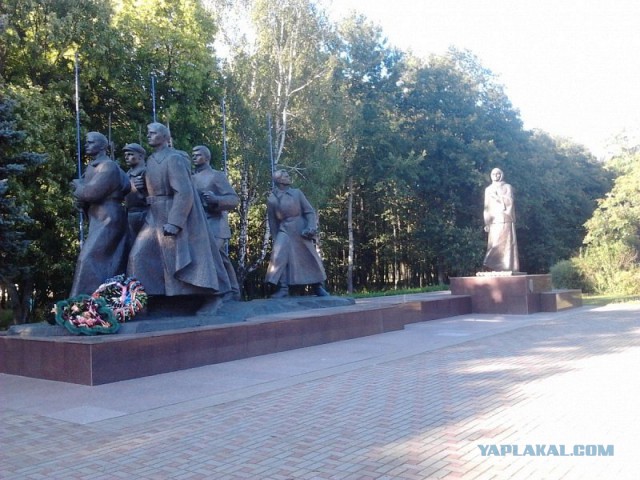 Война отняла восьмерых сыновей