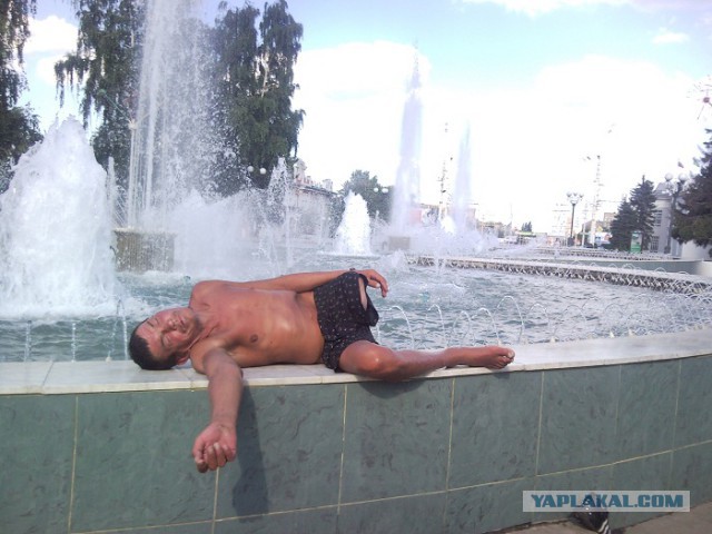 Картинки из сети, подборка