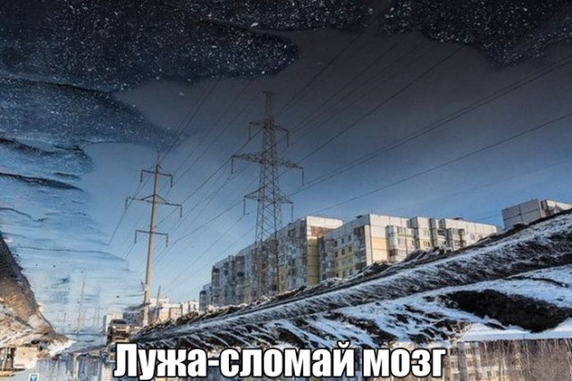 Москвич в Питере застрял