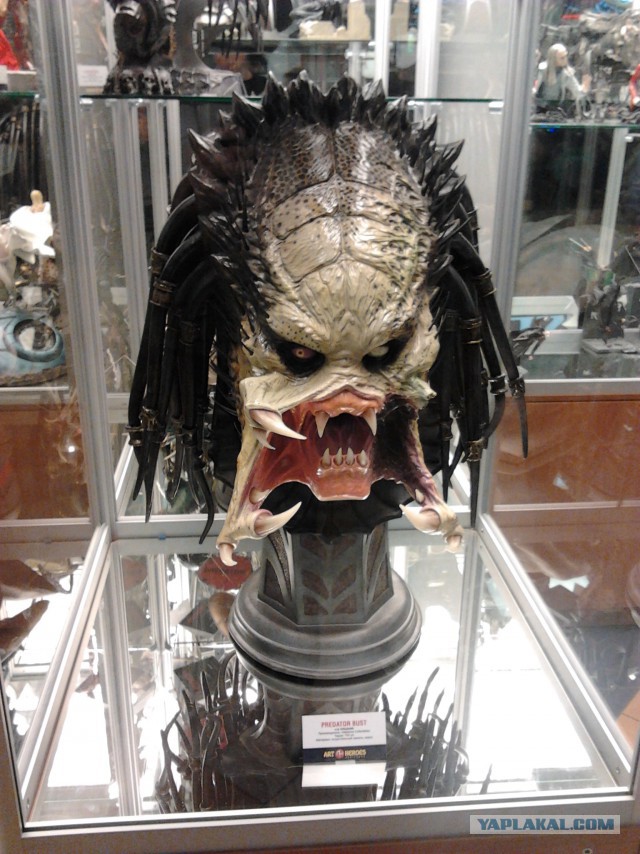 Мастер своего дела