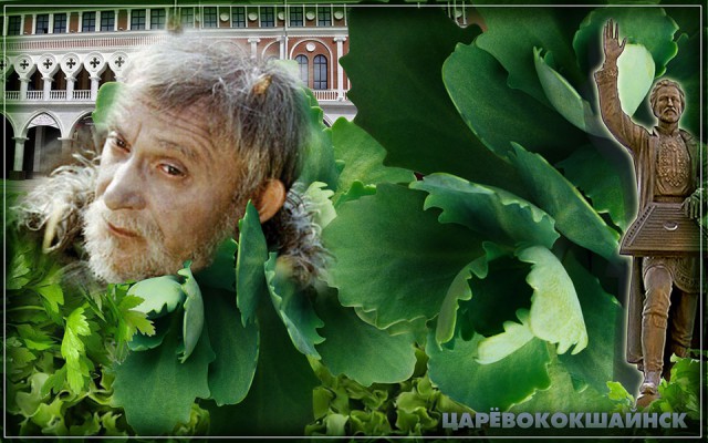 ЯП посетители (дополнения 2)
