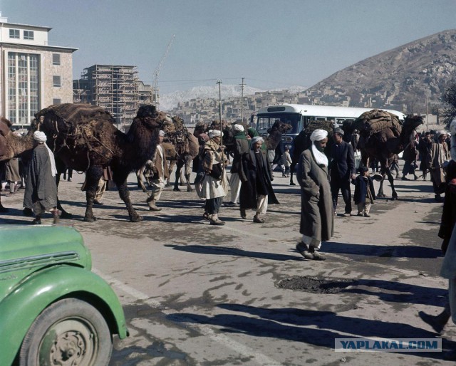 Афганистан: фото 1949-1969 годов