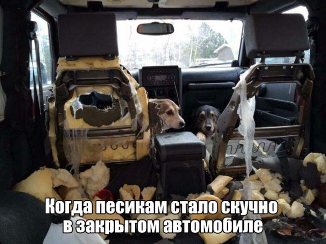 Картинки с букофками