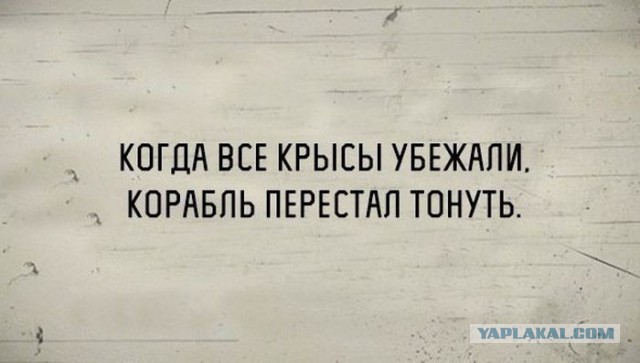 Подборка интересных и веселых картинок