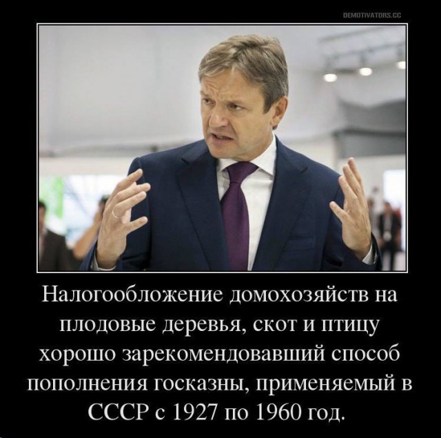 Светлана Орлова предложила ввести налог на сбор грибов и ягод