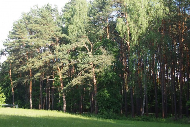 Недавно купил фотоаппарат! Хочу похвастаться!