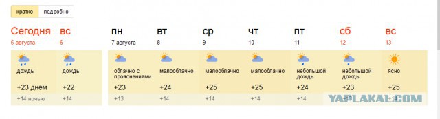 А какая у вас температура за окном?