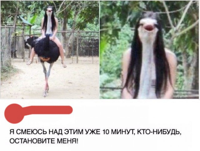 Приколы в картинках или прикольные картинки?