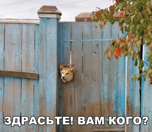 Прикольные картинки абавсём