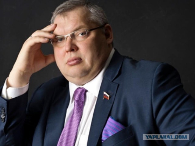 «Стыдно за соотечественников-крохоборов»: депутат Госдумы призвал россиян не мелочиться из-за цен на бензин