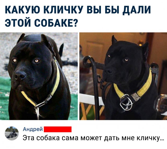 Немного картинок в эту среду