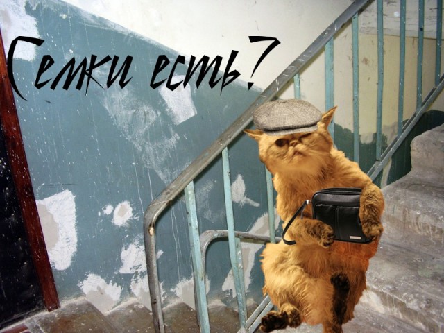 Ну что, поговорим?