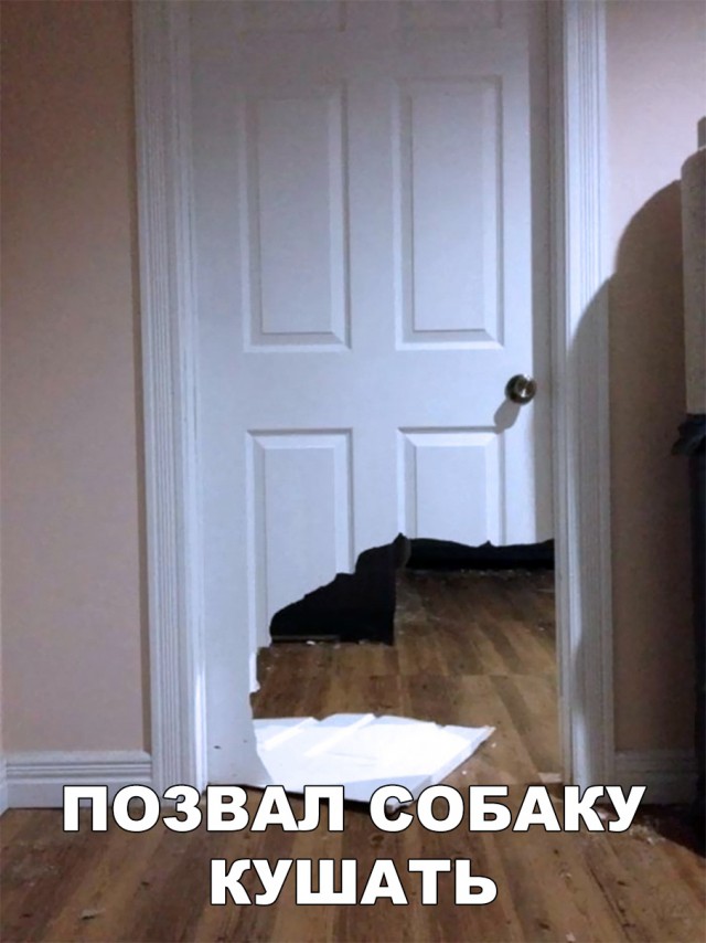 Нестандартный юмор