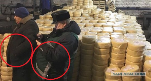В Челябинской области уничтожат 20 тонн литовского сыра