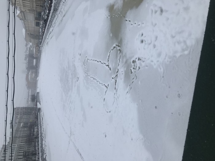Что творится на дорогах Петербурга после снегопада