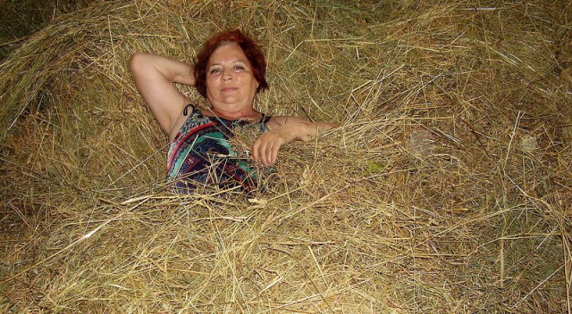 Скотсети и прочие интернеты 04.03.19