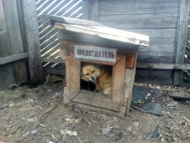 Деревенские приколы