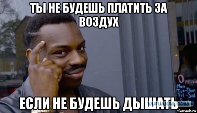 Минсельхоз решил взять под контроль сбор грибов и ягод