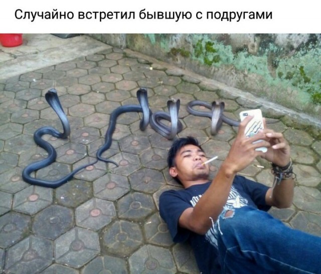 Немного картинок для настроения