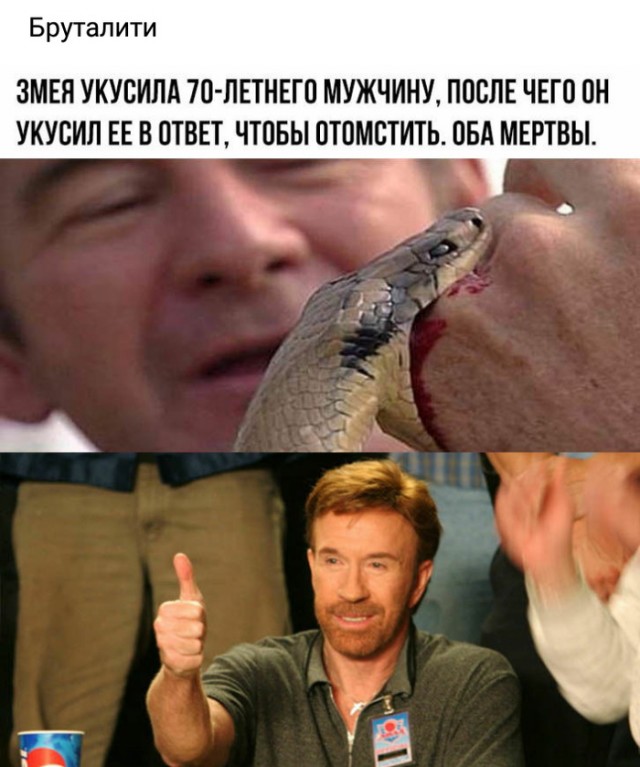 Немного картинок для настроения