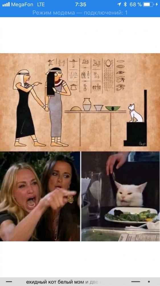 Котовторнику посвящается