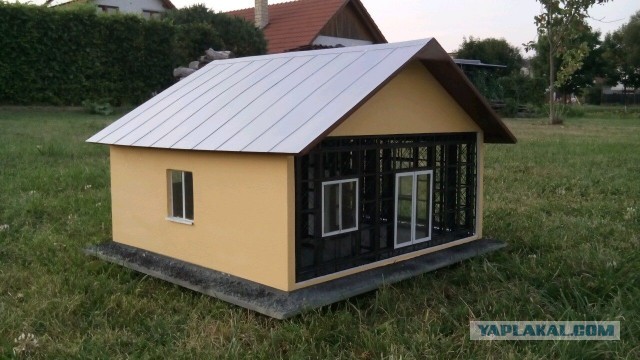 Картон моей души