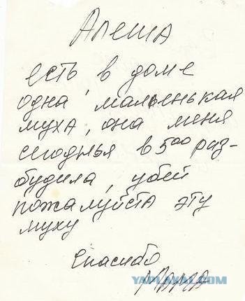 Фотожаба: Леша - истребитель мух