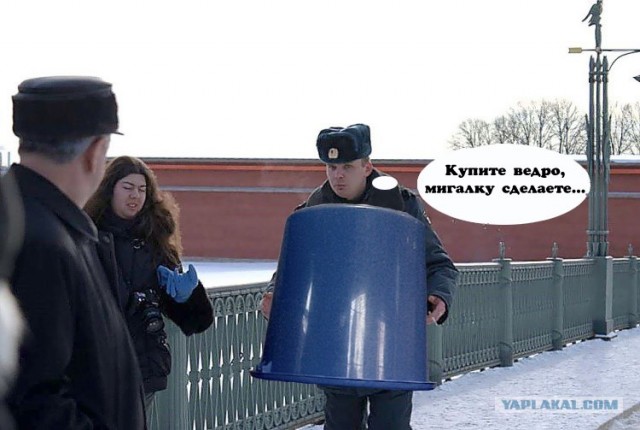 Собака с мигалкой на голове мем