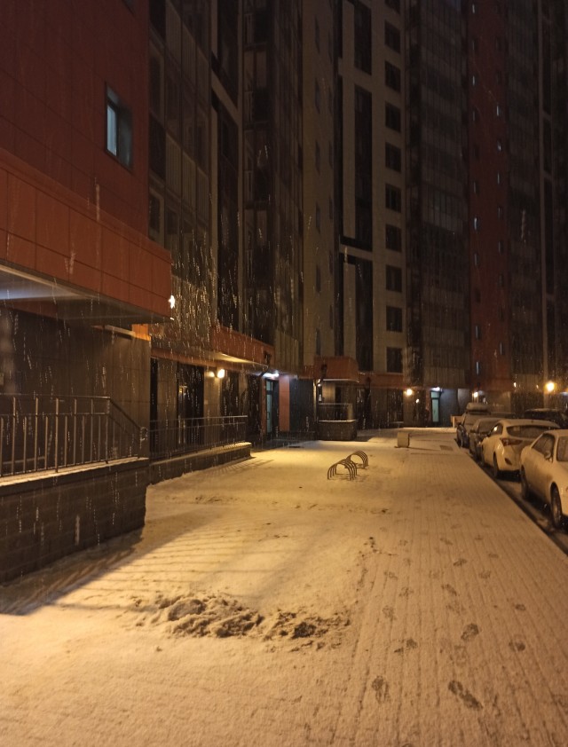 Не понимала, почему Виктор меня мышкой называет, пока не обнаружила целый зоопарк в его телефоне