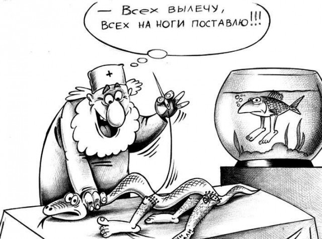 Декабрьский пикчемёт