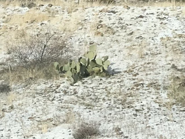 21 марта