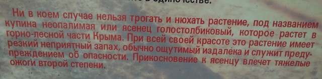 Вышли на пикник, а тут такое...