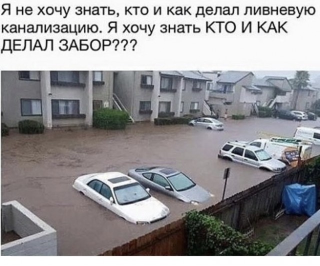 Просто картинки 05.07.2021