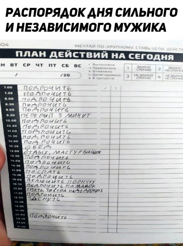 Аморальная деградация