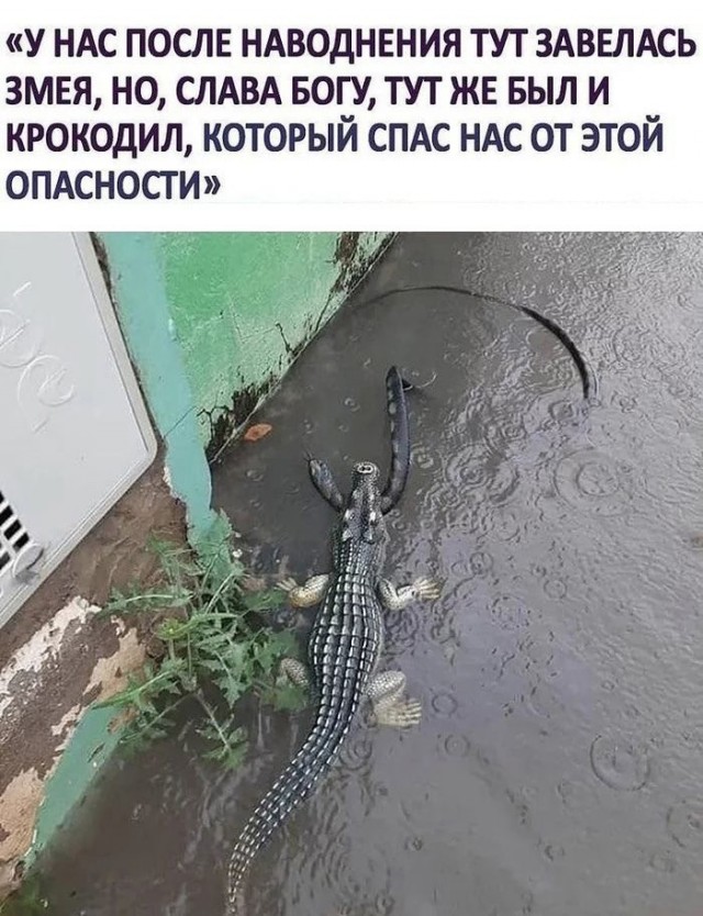 Так себе картинки 22.08.21