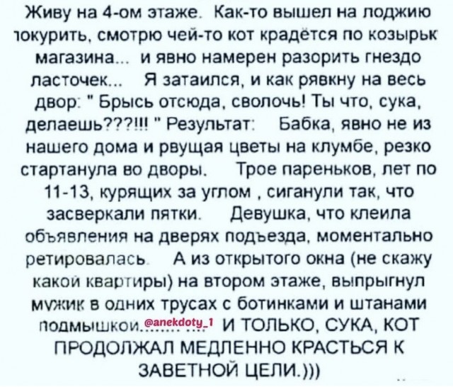 Всяческие картинки 17.11.2021