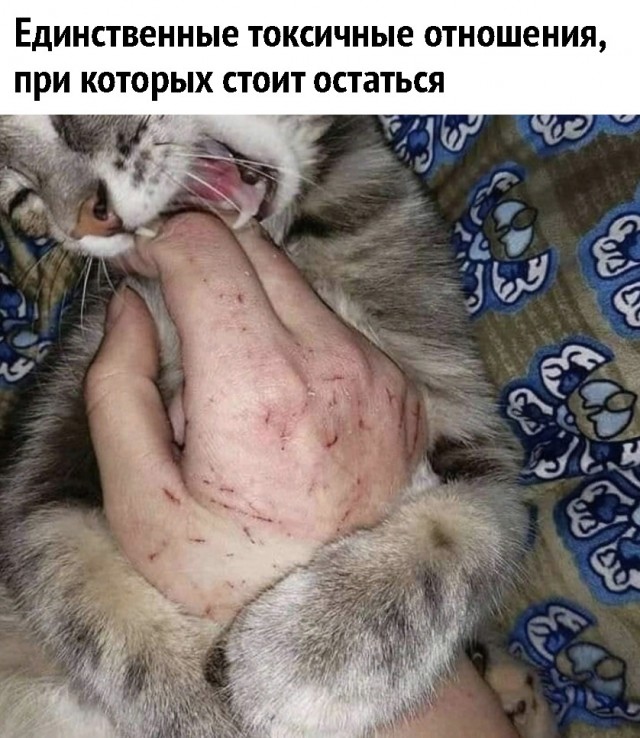 Чуток картинок 10.12.21
