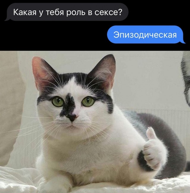 Картинки и мемы для настроения  -  9