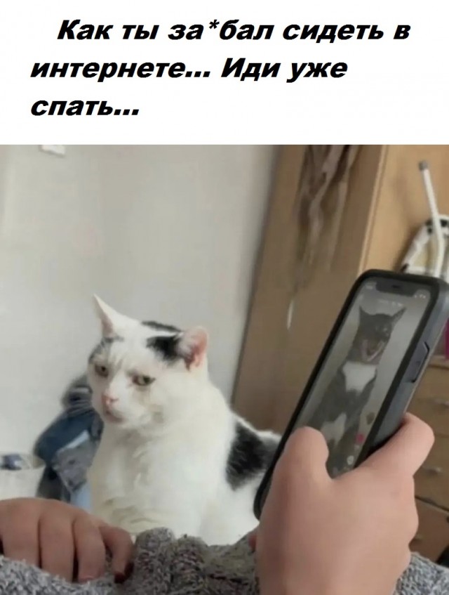Весёлый полтишок 01.04