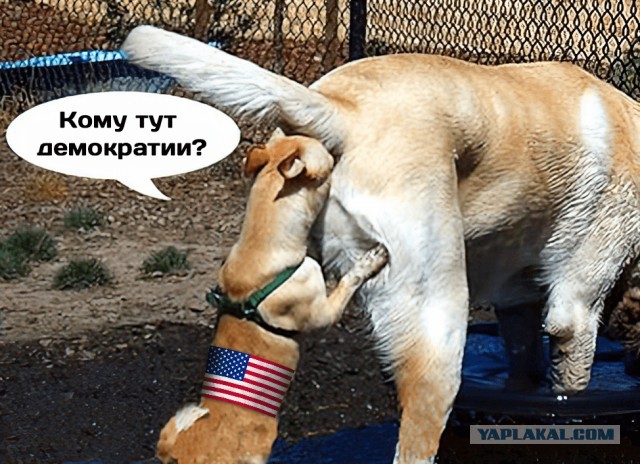 Белый дом: США предпримут все меры, чтобы не допустить «воссоединения Тайваня с Китаем»