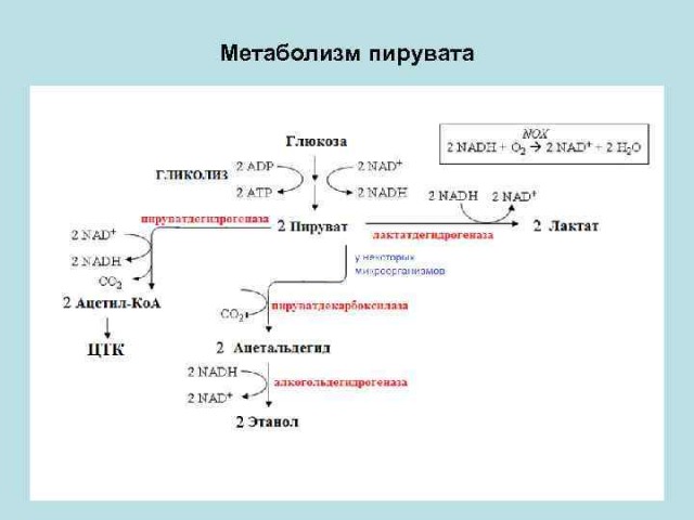 Алкоголь и семья хэппи энда не будет