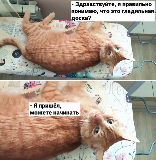 Немного картинок и прочей хреноты Vol. 15