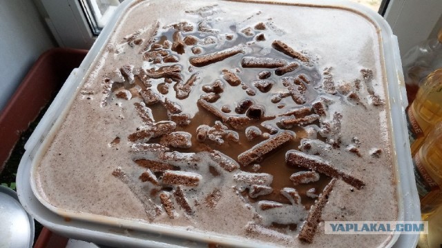 Рецепт ПОЛЕЗНОГО и ВКУСНОГО домашнего кваса