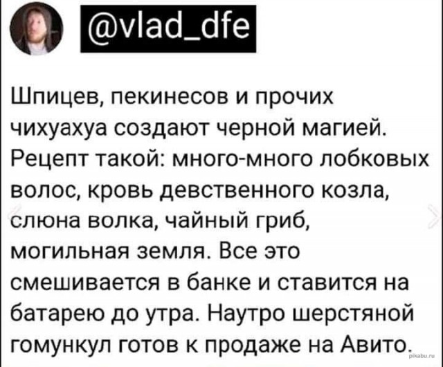 Среда пришла - неделя прошла, дорогие деграданты